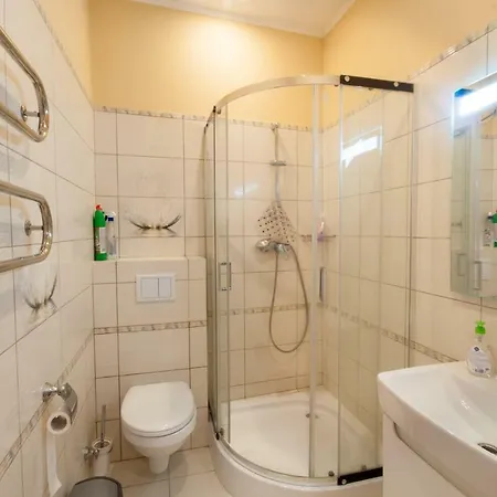 Wonderful Flat On Center * Uzhhorod