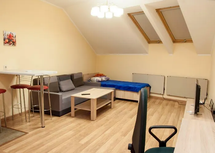 Wonderful Flat On Center Apartment